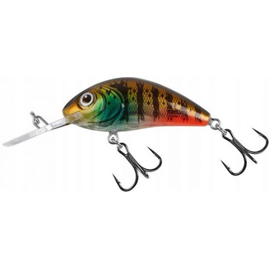 WOBLER SALMO HORNET FLOATING 3,5cm 3,1g HOT GILL WOBLER SALMO HORNET FLOATING 3,5cm 3,1g HOT GILL