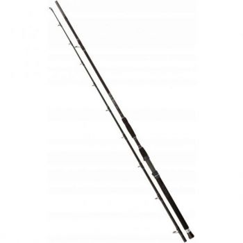 WĘDKA BLACK CAT BUSTER GODZILLA 3,20m 1000g SUMOWA