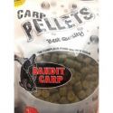 PELLET BANDIT CARP 10mm 1kg SQUID
