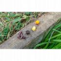 HACZYKI PRESTON KKH BARBED HOOKS SIZE 8 10szt