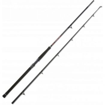 WĘDKA UNI CAT DREAM FISH PRO 3,00m 600g SUMOWA
