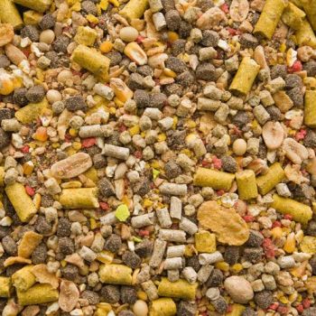 ZANĘTA BOLAND MEGA KARP 2,5kg FISH MIX RYBA