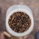 KONOPIE NASH OILY HEMP 2,5l ZIARNA W OLEJU
