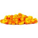 WAFTERS MATCH PRO TOP WORMS DUO MANGO 8mm 20g