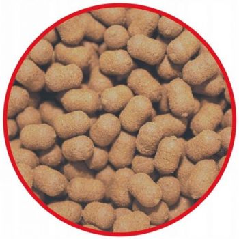 DUMBELLS MATCH PRO TOP TIGER NUT 7mm 25g