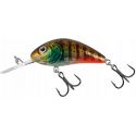 WOBLER SALMO H55 RATTLIN HORNET 5,5cm 10,5g HOT GI