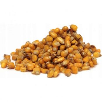 KUKURYDZA CARP OLD SCHOOL ZANĘTOWA 1kg TRUSKAWKA