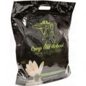 ZIARNO CARP OLD SCHOOL ZANĘTOWE MIX 5kg NATURAL