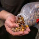ZIARNA NASH LARGE SEED MIX 500ml MIX ZIAREN