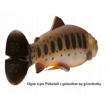 GUMA SAVAGE GEAR CRAFT TROUT 16cm 53g ROACH