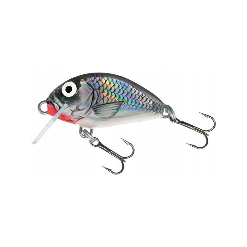 WOBLER SALMO IT3F TINY PŁYWAJĄCY 3cm 2g HOLOGRAPHI WOBLER SALMO IT3F TINY PŁYWAJĄCY 3cm 2g HOLOGRAPHI