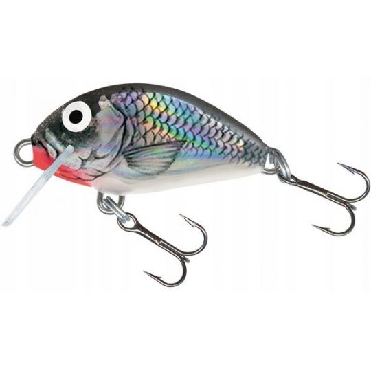 WOBLER SALMO IT3F TINY PŁYWAJĄCY 3cm 2g HOLOGRAPHI WOBLER SALMO IT3F TINY PŁYWAJĄCY 3cm 2g HOLOGRAPHI