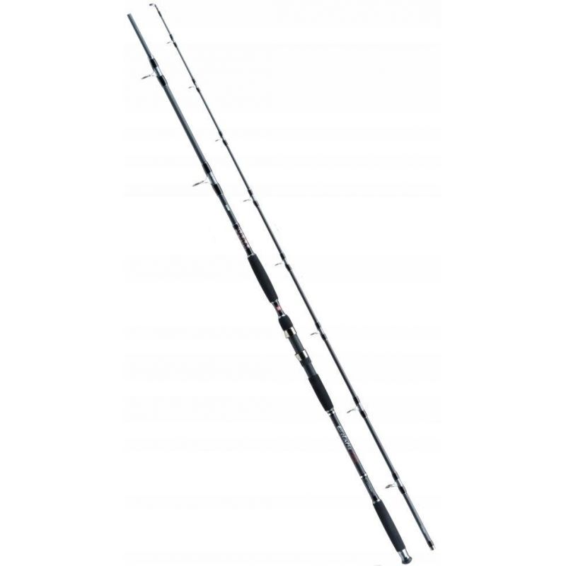 WĘDKA JAXON ECLATIS CAT FISH 3,00m 450g CATFISH WĘDKA JAXON ECLATIS CAT FISH 3,00m 450g CATFISH