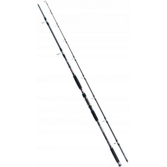 WĘDKA JAXON ECLATIS CAT FISH 3,00m 450g CATFISH WĘDKA JAXON ECLATIS CAT FISH 3,00m 450g CATFISH