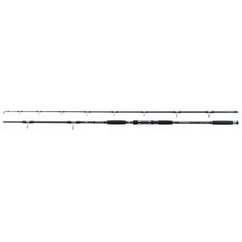 WĘDKA JAXON ECLATIS CAT FISH 3,00m 450g CATFISH