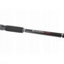 WĘDKA JAXON ECLATIS CAT FISH 3,00m 450g CATFISH