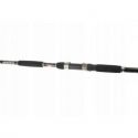 WĘDKA JAXON ECLATIS CAT FISH 3,00m 450g CATFISH