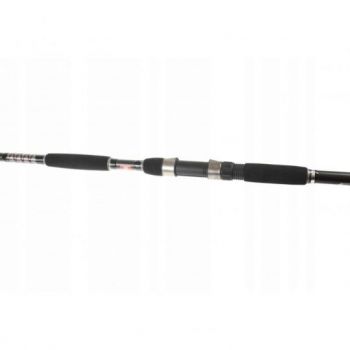 WĘDKA JAXON ECLATIS CAT FISH 3,00m 450g CATFISH
