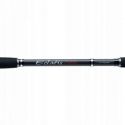 WĘDKA JAXON ECLATIS CAT FISH 3,00m 450g CATFISH