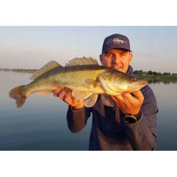 GUMA PRZYNĘTA FOX RAGE ZANDER PRO 10cm FIRETIGER