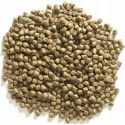 PELLET MIVARDI RAPID 5kg 4mm TURBO PELLETS