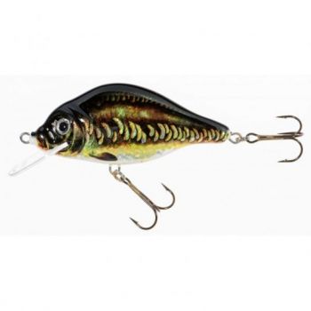WOBLER JAXON HOLO SELECT CARPAN F 7cm VJ-CA07KA 13