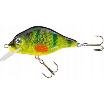 WOBLER JAXON HOLO SELECT CARPAN F 9cm VJ-CA09FOM