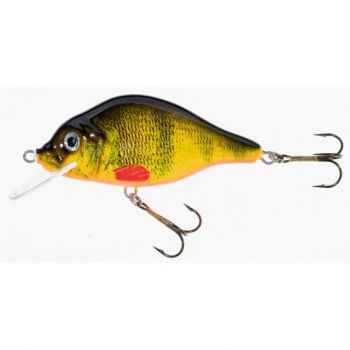 WOBLER JAXON HOLO SELECT CARPAN F 9cm VJ-CA09FOM