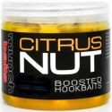 KULKI MUNCH BAITS BOOSTED CITRUS NUT 18mm HACZYKOW