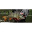 BŁYSTKA OBROTOWA DAM EFFZETT PREDATOR 2 7g FIRESHA
