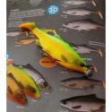 GUMA SAVAGE GEAR ROACH PADDLE TAIL 10cm MUDDY ROAC