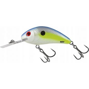 WOBLER SALMO H55 RATTLIN PŁYWAJĄCY 5,5cm SEXY SHAD