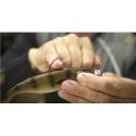 GUMA WESTIN ZANDERTEEZ 8.5cm 6g ROACH OFFICIAL
