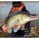 GUMA PRZYNĘTA FOX RAGE ZANDER PRO ULTRA 10cm PERC