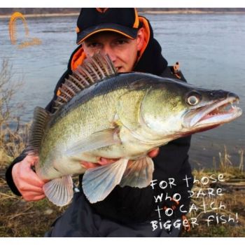 GUMA PRZYNĘTA FOX RAGE ZANDER PRO ULTRA 10cm PERC