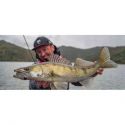 GUMA PRZYNĘTA FOX RAGE ZANDER PRO ULTRA 10cm PERC