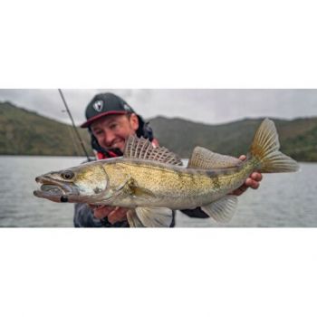 GUMA PRZYNĘTA FOX RAGE ZANDER PRO ULTRA 10cm PERC