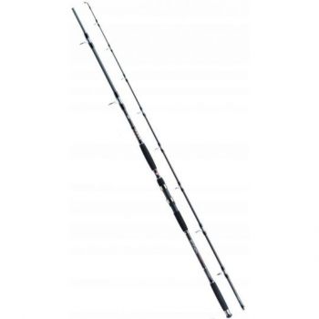 WĘDKA JAXON ECLATIS CAT FISH 3,00m 550g CATFISH