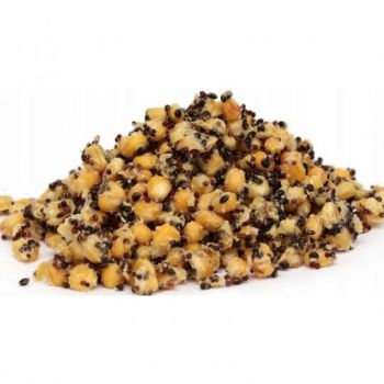 ZIARNO CARP OLD SCHOOL ZANĘTOWE MIX 1kg NATURAL