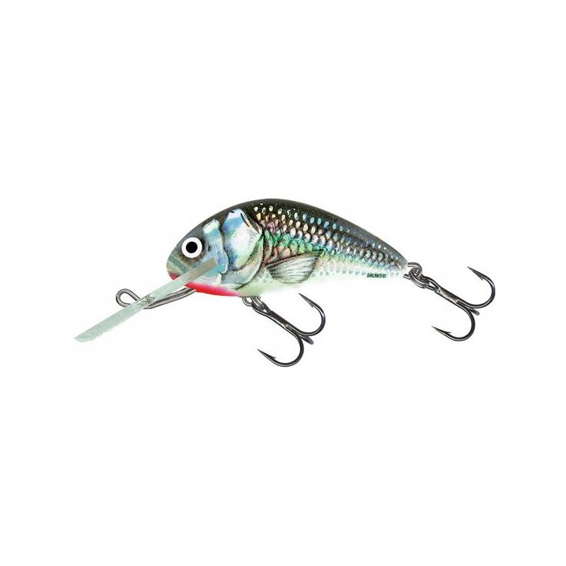 WOBLER SALMO H5F HORNET FLOATING 5cm 7g HOLOGRAPHI WOBLER SALMO H5F HORNET FLOATING 5cm 7g HOLOGRAPHI