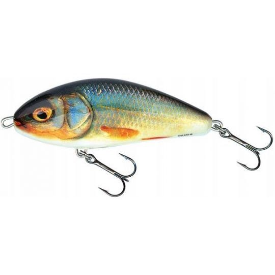 WOBLER SALMO FATSO F10S 10cm 52g REAL ROACH WOBLER SALMO FATSO F10S 10cm 52g REAL ROACH