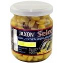 KUKURYDZA JAXON FJ-SK02 MIÓD