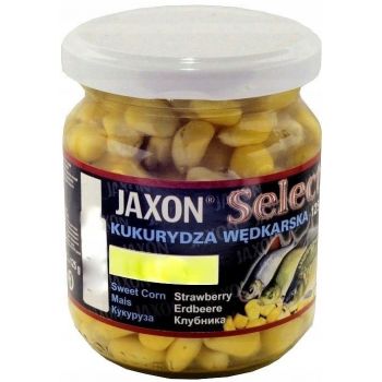 KUKURYDZA JAXON FJ-SK02 MIÓD