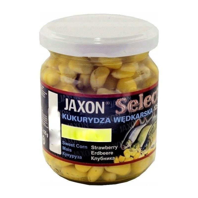 KUKURYDZA JAXON FJ-SK02 MIÓD KUKURYDZA JAXON FJ-SK02 MIÓD