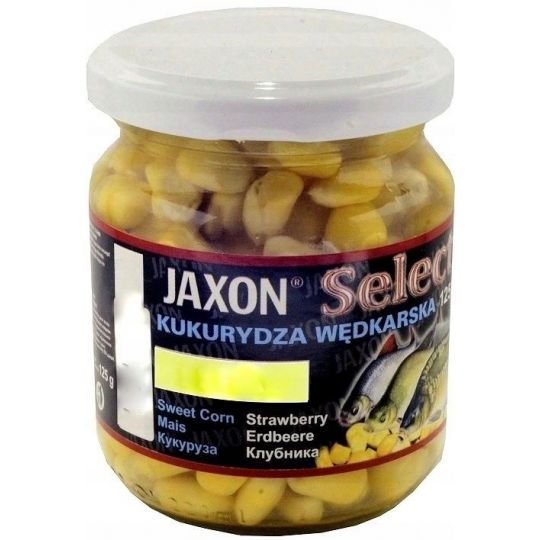 KUKURYDZA JAXON FJ-SK02 MIÓD KUKURYDZA JAXON FJ-SK02 MIÓD