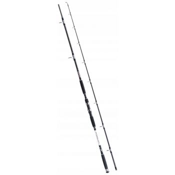 WĘDKA JAXON INTENSA GTX CATFISH PRO 3,15M 500G