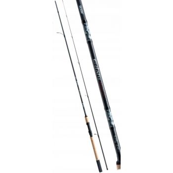 WĘDKA JAXON ECLATIS MASTER SPIN 3,00M 20-80G