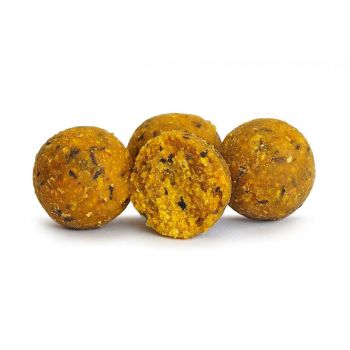 KULKI TANDEM BAITS EURO BOILIES 16mm 1kg CITRUS