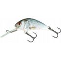 WOBLER SALMO H4F HORNET FLOATING 4cm 3g REAL DACE