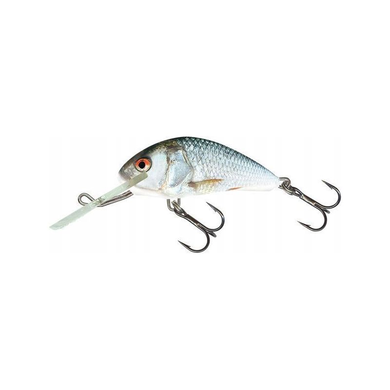 WOBLER SALMO H4F HORNET FLOATING 4cm 3g REAL DACE WOBLER SALMO H4F HORNET FLOATING 4cm 3g REAL DACE